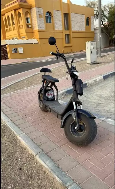  صورة 1 سكوتر كهربائي 2021فنان