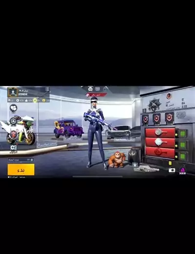  صورة 7 PUBG mobile global account for sale urgent basis