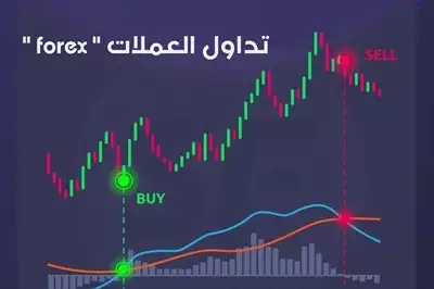  صورة 2 تعلم التداول من الصفر الى الاحتراف أنظر للوصف