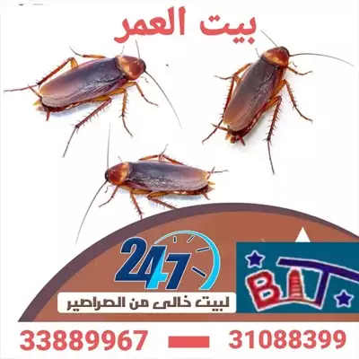  صورة 1 اباده تامه للحشرات والزواحف والقوارض