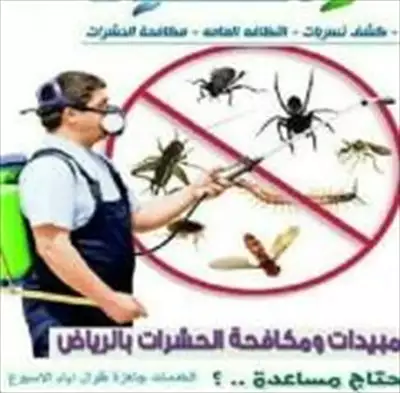  صورة 9 شركة تنظيف مجالس وشقق وفلل بالرياض