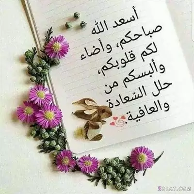  صورة 1 ابحث عن عمل استراحة حارس شقق مساعدطباخ