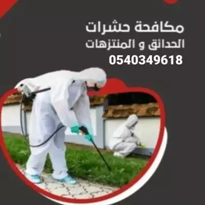  صورة 2 شركة مكافحة حشرات بحائل 0540349618رش مبيدات