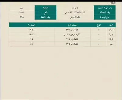  صورة 3 فيلا نخلان للبيع صبيا عماره عظم صبياء بيع