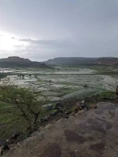  صورة 2 فني العوازل الحرارية والمائية