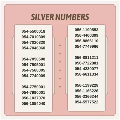  صورة 1 SILVER NUMBERS