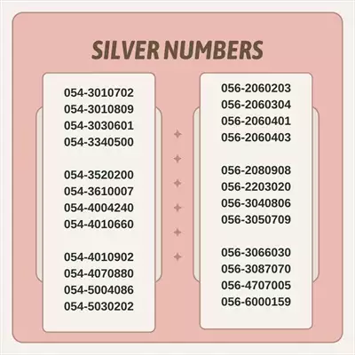  صورة 2 SILVER NUMBERS