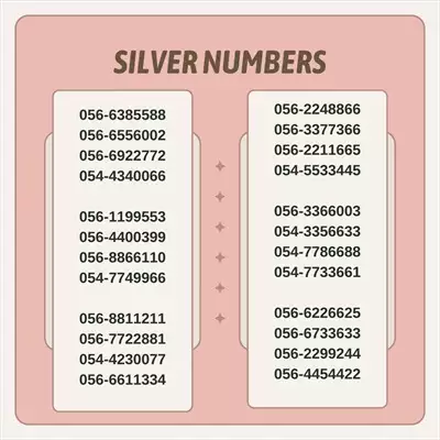  صورة 3 SILVER NUMBERS