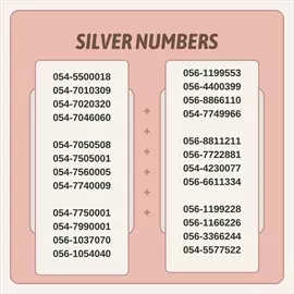 صورة - SILVER NUMBERS