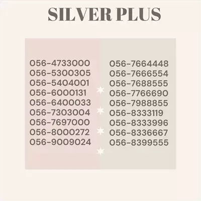  صورة 1 SILVER PLUS