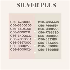 صورة - SILVER PLUS