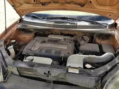  صورة 12 عرطة العرطات توسان امريكي 4 بسطون ب4500 دولار