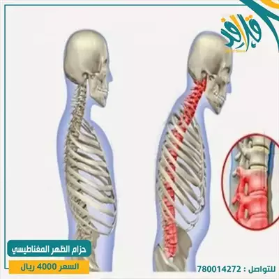  صورة 5 حزام الظهر المغناطيسي الأصلي