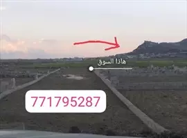 صورة - اراضي حرة خاليه من المشاكل مضمونه