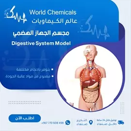 صورة - مجسم الجهاز الهضمي