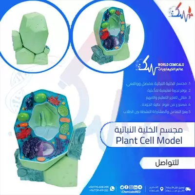  صورة 1 وسائل تعليمية ومجسمات مجسم الخلية النباتية Plant Cell Model