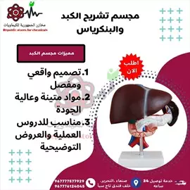 صورة - احصل الآن على مجسم الكبد والبنكرياس من مخازن الجمهورية للكيماويات اليمن صنعاء