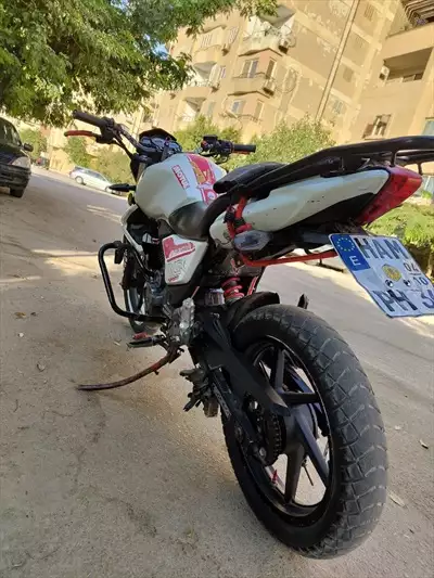  صورة 5 بينيلى Vlr sport