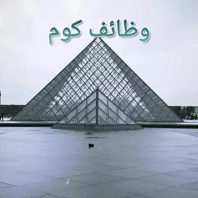  صورة 1 فرد أمن