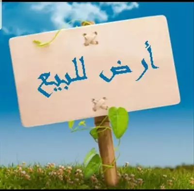  صورة 1 فرصه ارض سياحيه علي بحر سيدي عبدالرحمن شط الهنا