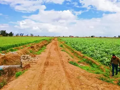  صورة 1 اراضى زراعية 24 ونص فدان للبيع عقد نهائى من المالك