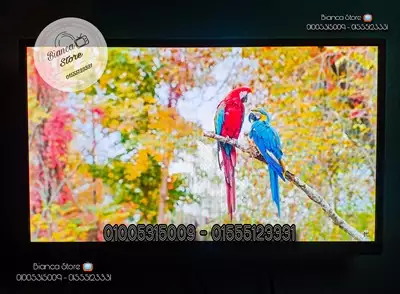  صورة 1 شاشات 24 بوصة LED FHD IPS بالرسيفر و حامل حائط و الضمان