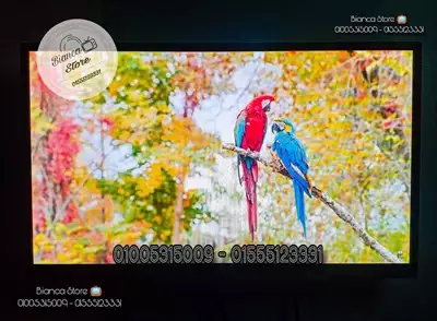  صورة 1 شاشات 24 بوصة LED FHD IPS بالرسيفر