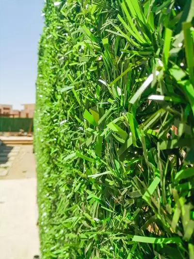  صورة 6 تمتع بالمزيد من الخصوصية والأمان مع أفــضل green wall في مصر