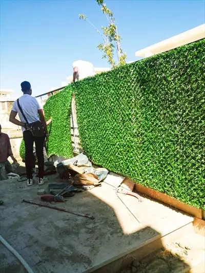  صورة 7 تمتع بالمزيد من الخصوصية والأمان مع أفــضل green wall في مصر