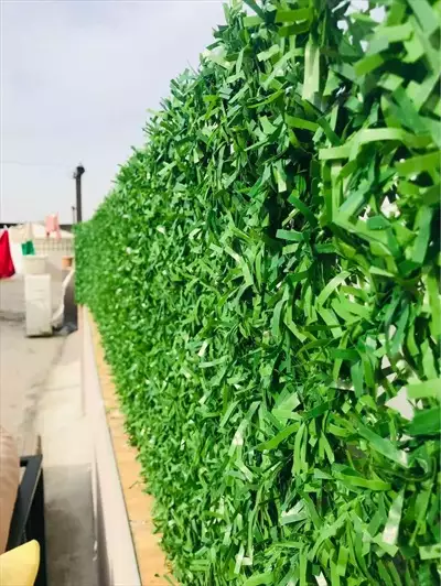  صورة 2 تمتع بالمزيد من الخصوصية والأمان مع أفــضل green wall في مصر