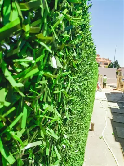  صورة 1 تمتع بالمزيد من الخصوصية والأمان مع أفــضل green wall في مصر