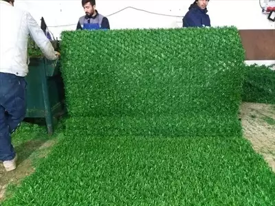  صورة 3 تمتع بالمزيد من الخصوصية والأمان مع أفــضل green wall في مصر