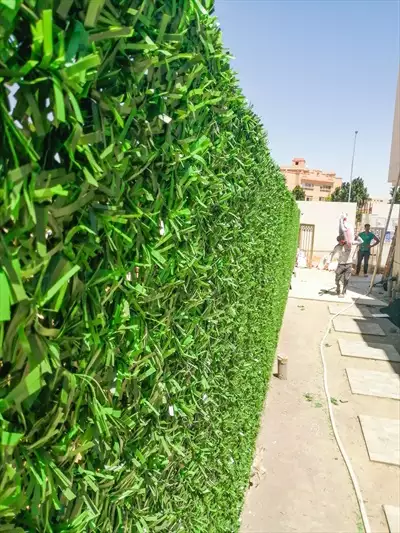  صورة 9 تمتع بالمزيد من الخصوصية والأمان مع أفــضل green wall في مصر