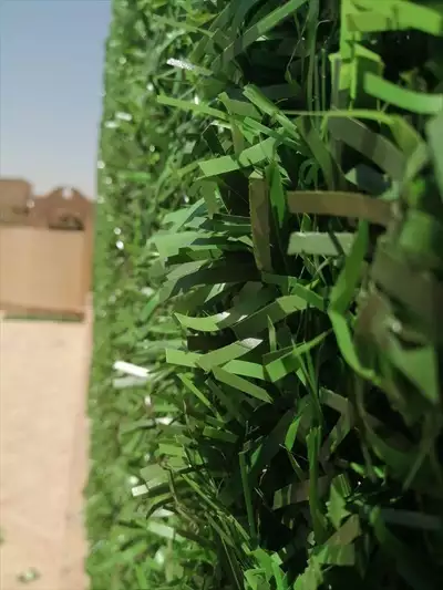  صورة 5 تمتع بالمزيد من الخصوصية والأمان مع أفــضل green wall في مصر