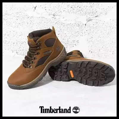  صورة 3 حذاءTimberland جلد طبيعي