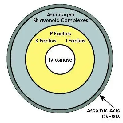  صورة 3 فيتامين سي كومبلكس Vit C complex التركيبة الكاملة الطبيعية