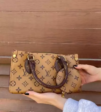  صورة 1 حقائب LOUIS VUITTON باريس للبيع في عمان بـ 17 99 دينار مع توصيل مجاني