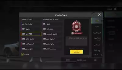  صورة 13 Pubg mobile global account